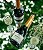 ESPUMANTE CASA PEDRUCCI RESERVA EXTRA-BRUT - Imagem 2