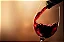 BAROLO DI BAROLO 2020 - Imagem 2