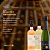 Curso Mundo dos Vinhos DIA 1 - Imagem 3