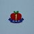 Aplique Maça com idade - Branca de Neve - 6cm - 1 unidade - Imagem 1