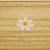 Aplique Flor - Margarida - 5cm - 1 unidade - Imagem 1