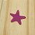 Aplique Estrela do Mar - Fundo do Mar - 5cm - 1 unidade - Imagem 6