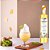 Xarope Importado 500ML Para Drinks - Gengibre - Imagem 3