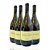 Vinho Argentino Branco Angélica Zapata - Chardonnay (4 Un.) - Imagem 1