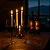 Vinho Tinto Seco Foye Carménère Reserva 2023 750 mL Chile - Imagem 2