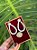 Conjunto Drop cravejado - Imagem 4