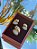 Conjunto Luxo - Imagem 2