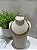 Conjunto Aro - Imagem 2
