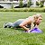 Meia Bola Bosu Elastico Exercicio Alongamento Academia Pilates Yoga Reabilitaçao Fisioterapia Ginastica Musculaçao Step - Imagem 5