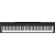 Piano Yamaha P225 Digital Preto - Imagem 1