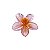 PRESILHA PIRANHA DE FLOR 4CM - Imagem 3