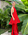 vestido crochê de franjas vermelho - Imagem 1