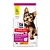 Hills Cães Filhote Porte Pequeno e Miniatura 2,04kg - Imagem 1