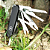Canivete Victorinox SwissChamp 33 Funções Preto - Imagem 5