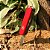 Canivete Mountaineer Vermelho 18 Funções Victorinox - Imagem 6