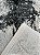 Tapete Versalhes White/d Gray D: ka08A - Imagem 9