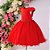Vestido Vermelho Detalhe Renda 4 ao 12 - Imagem 3