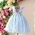 Vestido Infantil Juvenil Floral Azul Saia Tule 4 ao 12 - Imagem 3