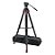 Sachtler Tripé ACE XL com Pernas FT 75 - Imagem 1