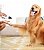 Aparador De Unhas Elétrico Para Pets, Gato & Cachorro, Usb - Imagem 7