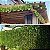 Planta Trepadeira Artificial para Decorações | Plantas para Decoração de Casa, Sala De Estar, Casamento, Eventos - Imagem 7