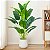 Planta Artificial Realista Estrelicia, Folhas de Bananeira, Plantas para Decoração de Casa, Escritório, Cozinha, Sala De Estar - Imagem 1