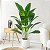 Planta Artificial Realista Estrelicia, Folhas de Bananeira, Plantas para Decoração de Casa, Escritório, Cozinha, Sala De Estar - Imagem 2