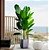 Planta Artificial Realista Estrelicia, Folhas de Bananeira, Plantas para Decoração de Casa, Escritório, Cozinha, Sala De Estar - Imagem 4