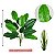 Planta Artificial Realista Estrelicia, Folhas de Bananeira, Plantas para Decoração de Casa, Escritório, Cozinha, Sala De Estar - Imagem 7