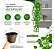 Arranjo C/ 3 Trepadeira + Vaso Trançado Marrom | Arranjo Trepadeira Artificial para Decorações | Plantas para Decoração de Casa, Sala De Estar, Casamento & Escritorio (Folhas de Hera) - Imagem 4