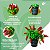 Vaso Arranjo Pimenteira Planta 1 Buque Pimenta Artificial, Plantas para Decoração de Casa, Escritório, Cozinha, Sala De Estar - Imagem 3
