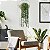 Planta Artificial Realista Suculenta Dedo de Moça, Plantas para Decoração de Casa, Escritório, Cozinha, Sala De Estar - Imagem 5