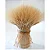 100 Hastes Trigo Natural Seco Desidratado Plantas para Decoração de Casa, Casamento, Escritório, Cozinha, Sala De Estar - Imagem 5