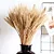 100 Hastes Trigo Natural Seco Desidratado Plantas para Decoração de Casa, Casamento, Escritório, Cozinha, Sala De Estar - Imagem 2