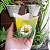 Kit Cachepot de Papel Pote 6 PP 7x7x5,5cm Tema Floral 6un - Imagem 4