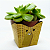 Cachepot de Papel Pote 6 PP 7x7x5,5cm Bambu Trançado c/ 10un - Imagem 5