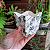 Cachepot de Papel Pote 6 PP 7x7x5,5cm Trevo com 10 unidades - Imagem 2