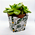 Cachepot de Papel Pote 6 PP 7x7x5,5cm Trevo com 10 unidades - Imagem 5