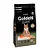 Ração Golden Gatos Sênior Castrados Salmão 1Kg - Imagem 1