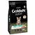 Ração Golden Gatos Filhotes Sabor Frango 3Kg - Imagem 1