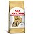 Ração Seca Royal Canin Shih Tzu Adulto Nutrição Específica para Raça 1kg - Imagem 2