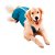 Roupa Pós Cirúrgica Castração Macho Duo Dry Azul Pet Med - Tamanho 11 - Imagem 1