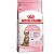 Ração Sterilised Para Gatos Filhotes Royal Canin 400g - Imagem 1