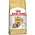 Ração Royal Canin para Cães Adultos da Raça Shih Tzu 2,5kg - Royal Canin - Imagem 1
