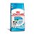 Ração Seca Royal Canin Mini Junior 1kg - Imagem 2