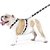Conjunto Peitoral H e Guia Toh Outdoor Eclipse Tamanho G - Imagem 1