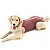 Roupa Pós Castração Pet Med Duo Dry Rosa Para Cães Fêmeas Tam.8 - Imagem 1