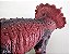 Dinossauro Brinquedo Triceratops Boneco 40 Cm Presente Festa - Imagem 8