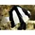 Three striped Dansel - Imagem 1