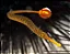 Banded Pipefish - Imagem 1
